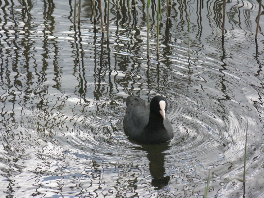 keutschachersee-07.jpg